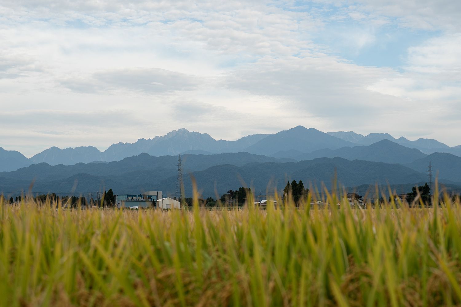 田園から望む立山連峰の風景